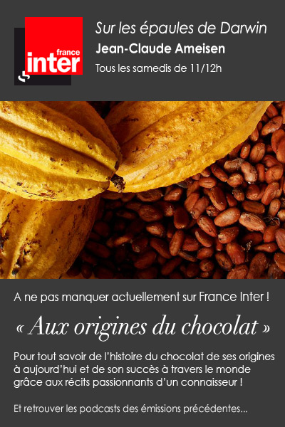 A écouter actuellement : « Aux origines du chocolat » raconté par  Jean-Claude Ameisen...