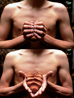 « Mes mains sont mon coeur » - Gabriel Orozco - 1991 - Mexique